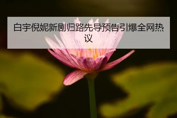 白宇倪妮新剧归路先导预告引爆全网热议
